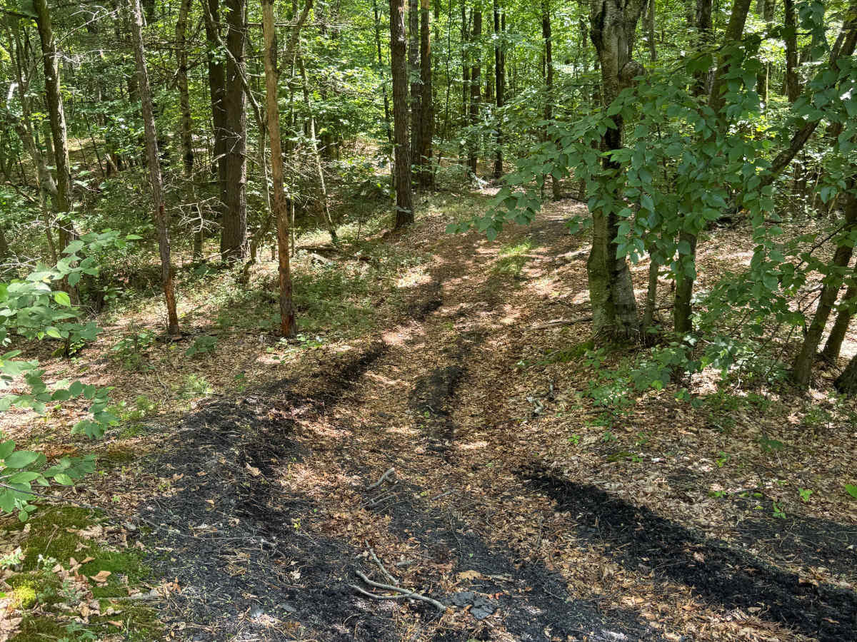 Trail 45 photo 2