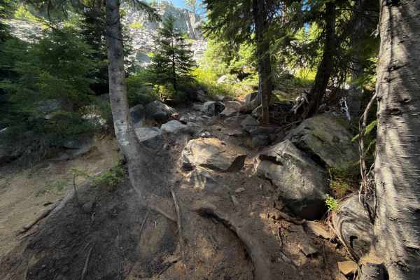 Sawtooth Trail
