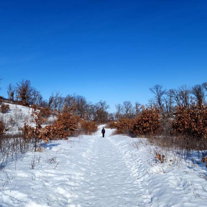Near Blue Hill Trail