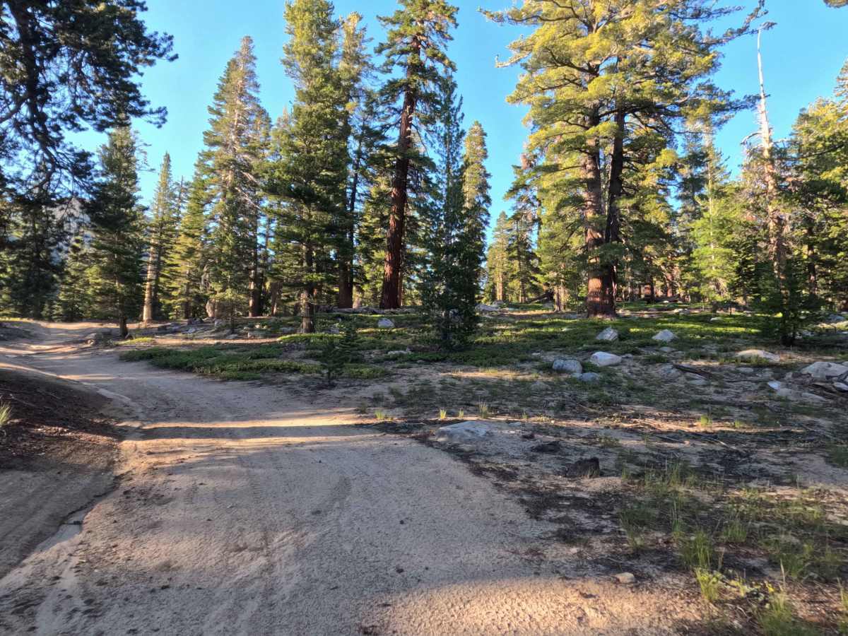 Unnamed Spur off Jobs Peak Trail Road - FS 31051 photo 6