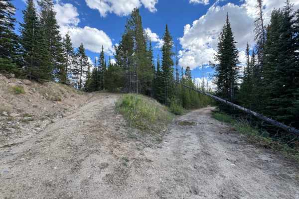 White Slides Road