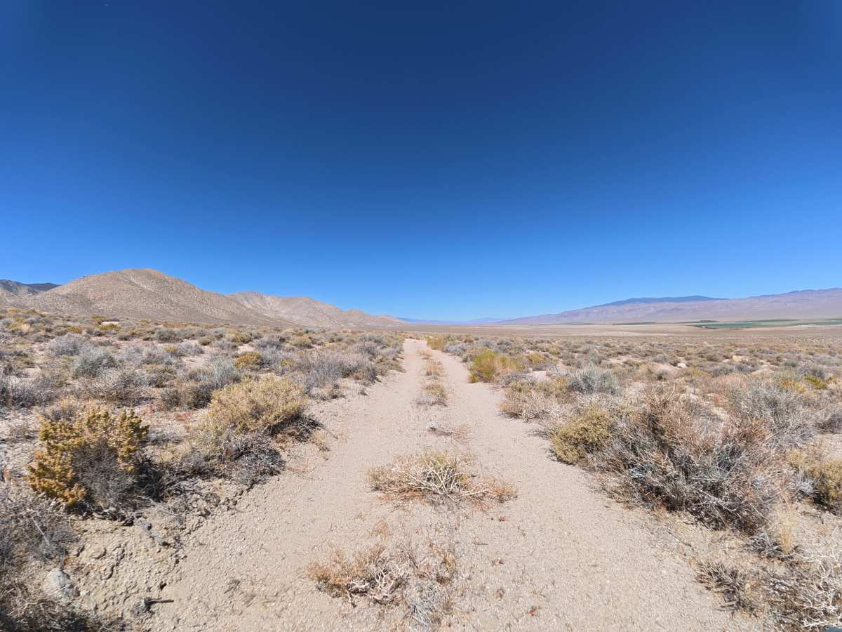 BLM 544 photo 4