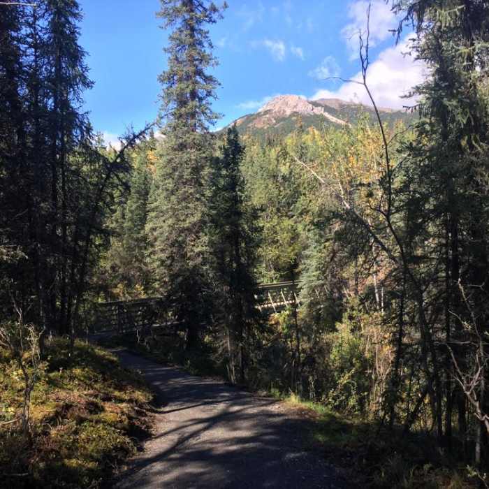 Near Mt. Healy Overlook Trail Near Mt. Healy Overlook Trail