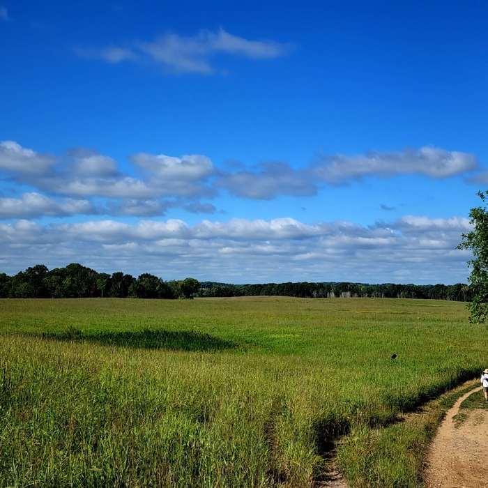 Passing an expanse of prairie toward Intersection 28. Near Minnregs Lake Loop