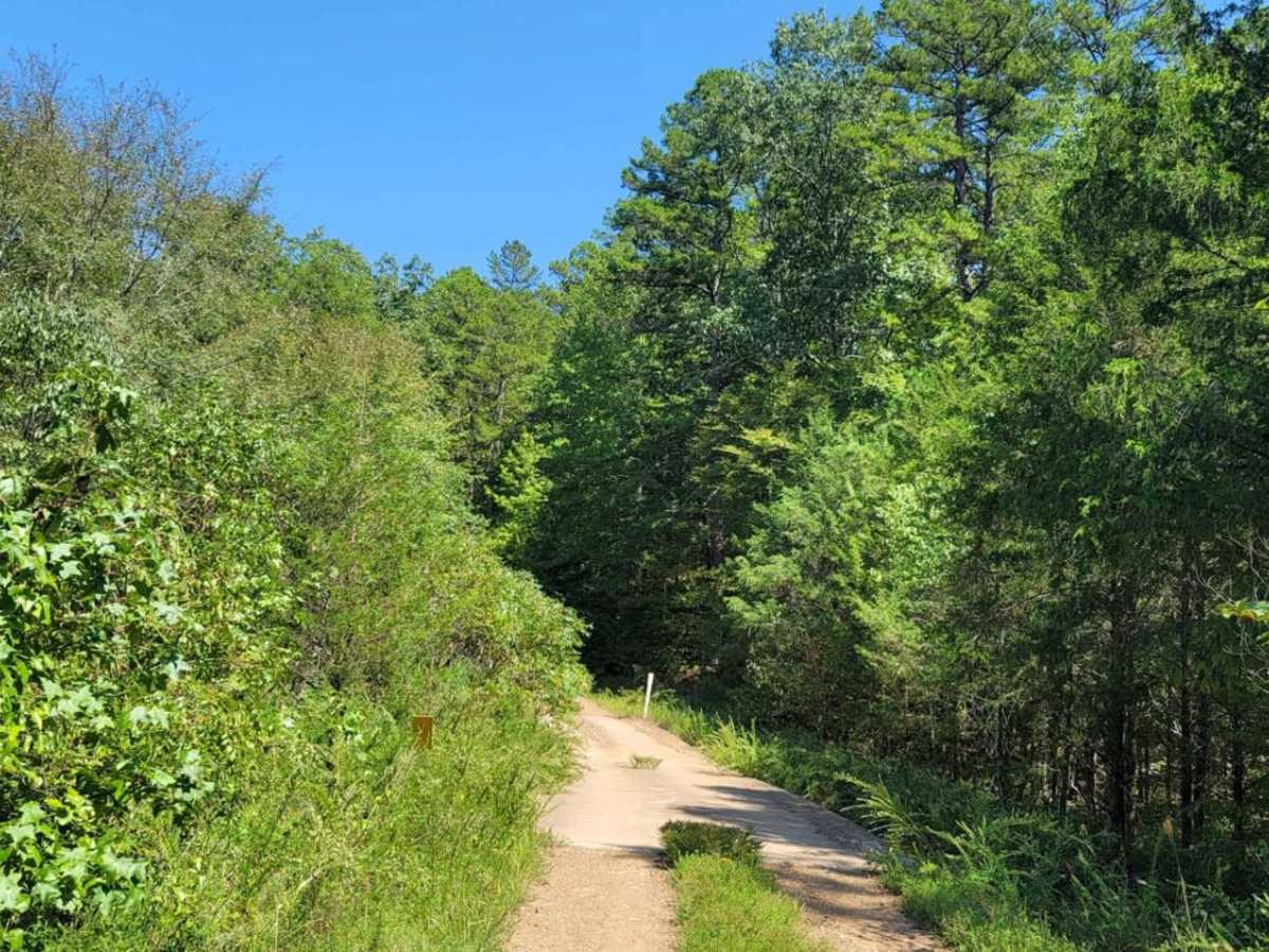 Wildcat Hollow photo 2