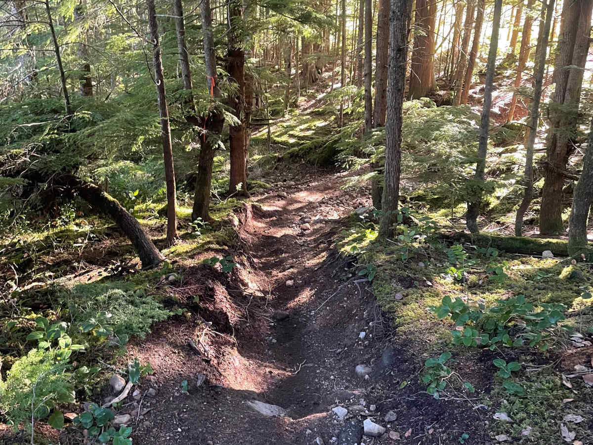 Powerline Trail photo 4