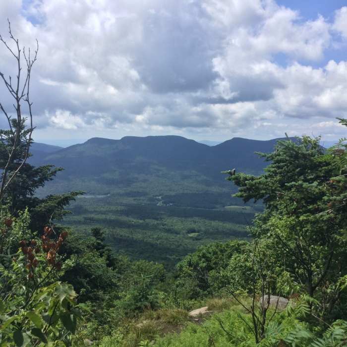 Near Kaaterskill High Peak Summit Path - South