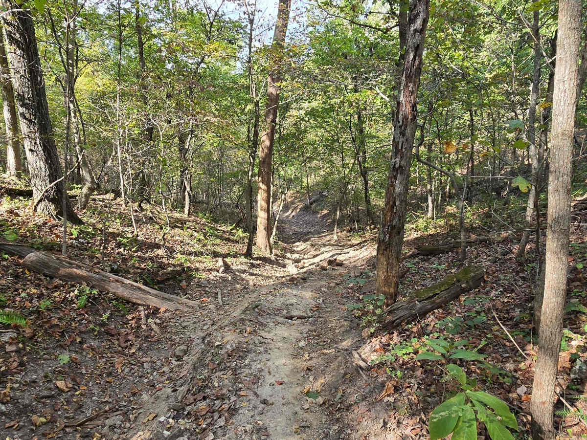 Rocky Ravine photo 2