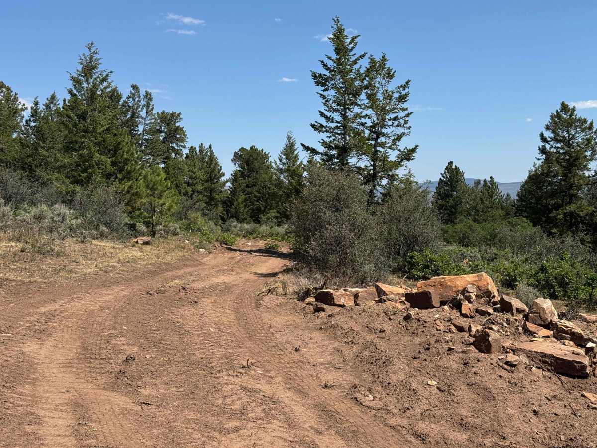 BLM 6111A trail photo