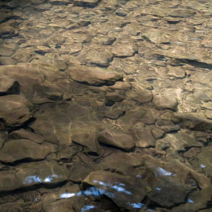 Near Cloudland Canyon: Waterfalls to Sitton's Gulch Trail