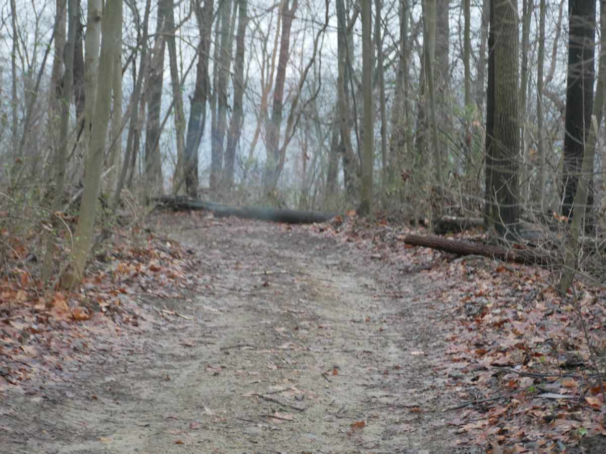 Trail 18 photo 2