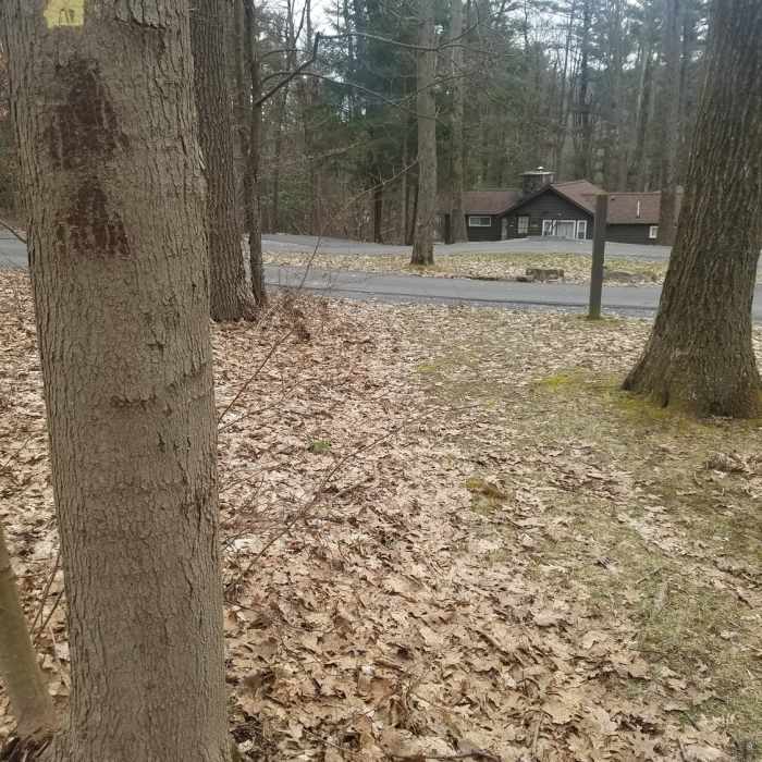 Near Lake Loop Trail