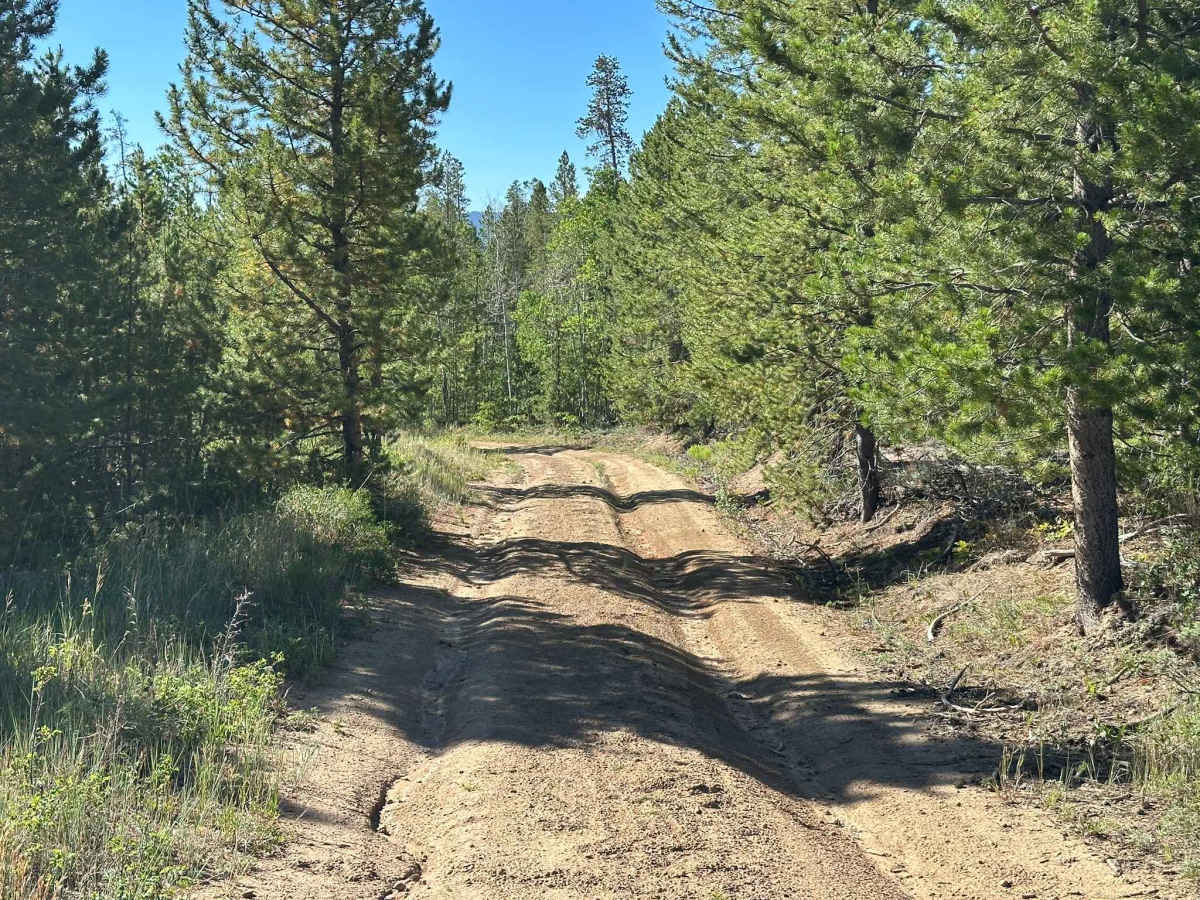BLM Route 2768 trail photo