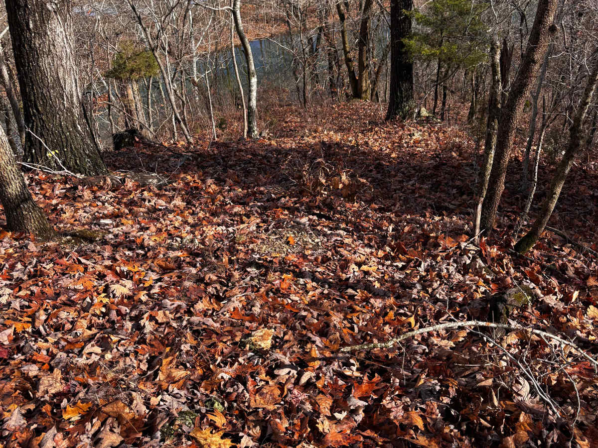 Cakewalk trail photo