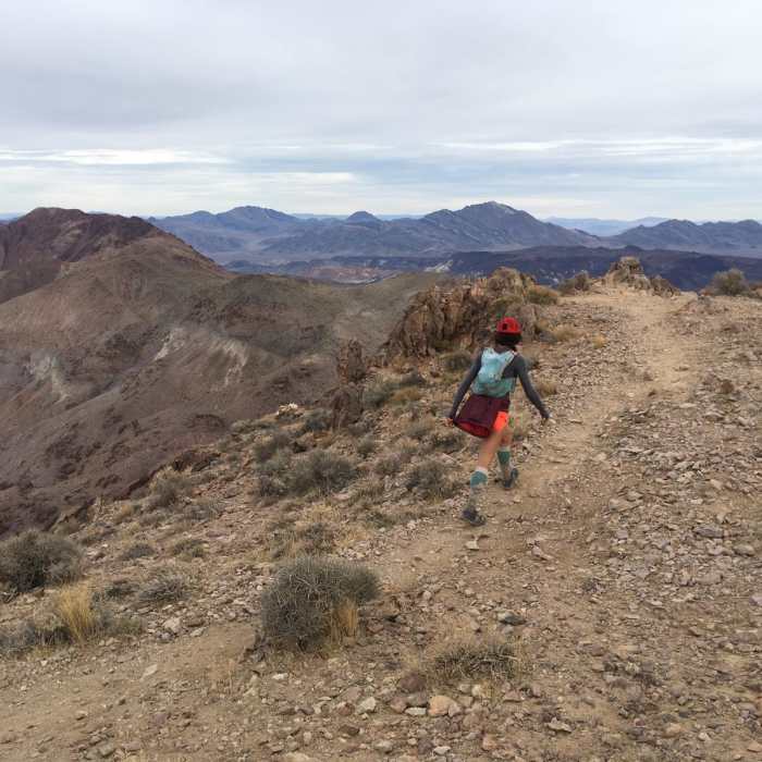 Near Dante's View Trail