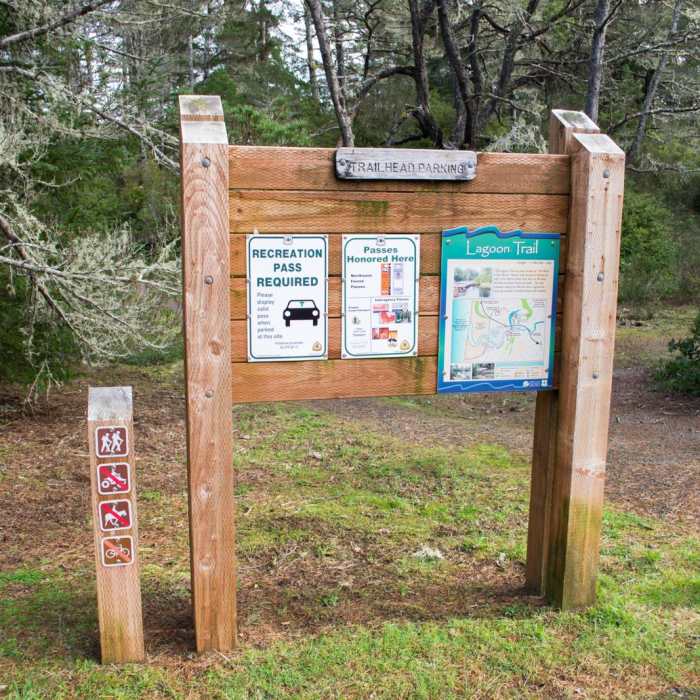 Near Lagoon Loop Trail