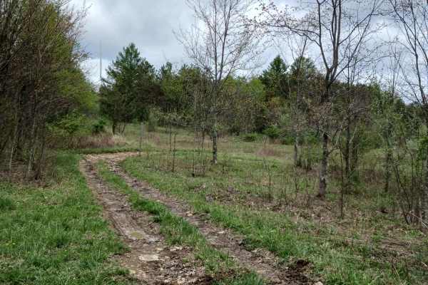 Short 3 - Rock Run Recreation Area