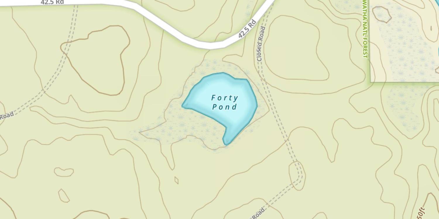 Forty Pond