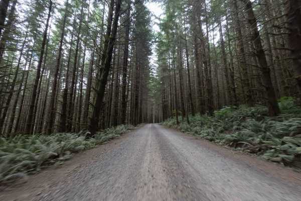 Camp Nine Road