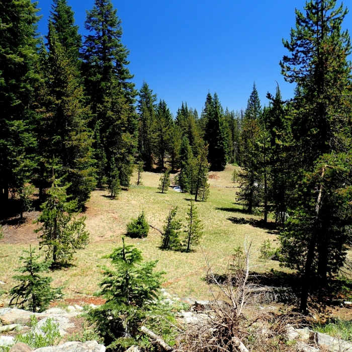 Near Stuart Falls Trail