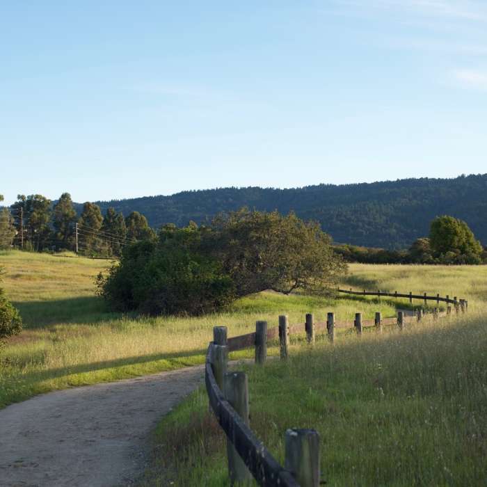 Near Edgewood Nature Preserve Loop