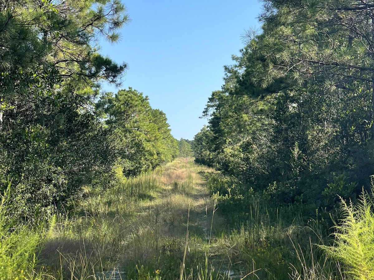 Hunters Road trail photo