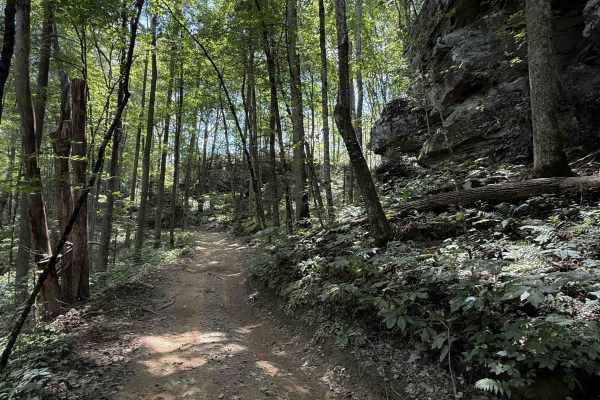 Lost Ridge Trail 14