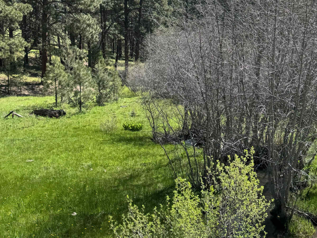 Elk Mountain Loop photo 5
