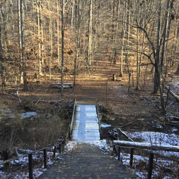 Bridge over Trout Brook Near Riverside Trail (Red)