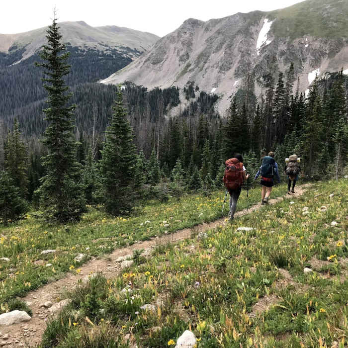 Heading back down the West Branch Trail. Returning to tree cover. Near Carey/Island Lakes Out-and-Back