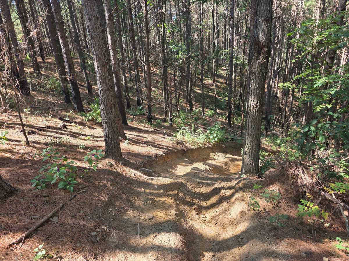 Sidewinder photo 2