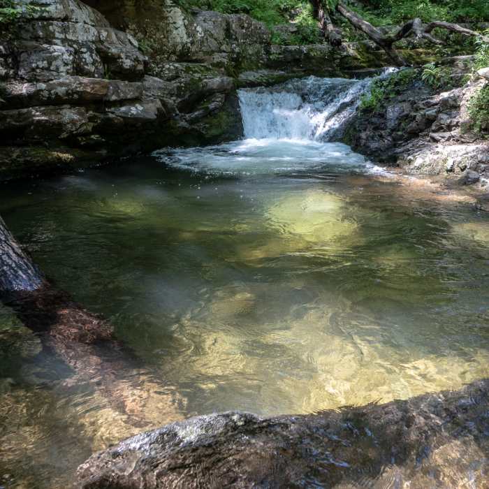 Near Sunfish Pond via Mt. Tammany Fire Road