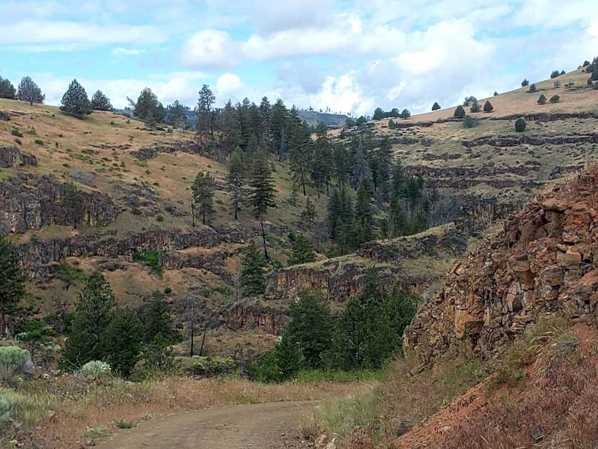 Murderers Creek Ranch photo 2