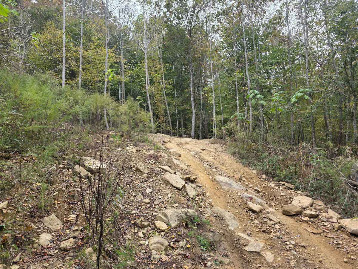 Pounder's Place trail photo