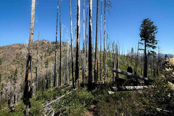 Way Creek Trail - FS 1235