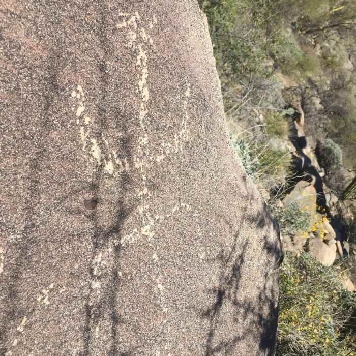 Near Wild Burro Trail