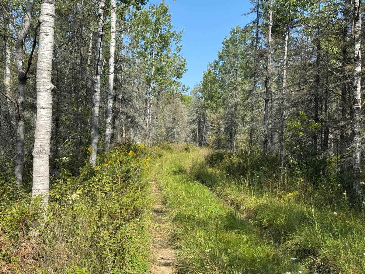 Rimrock Camp Road photo 3