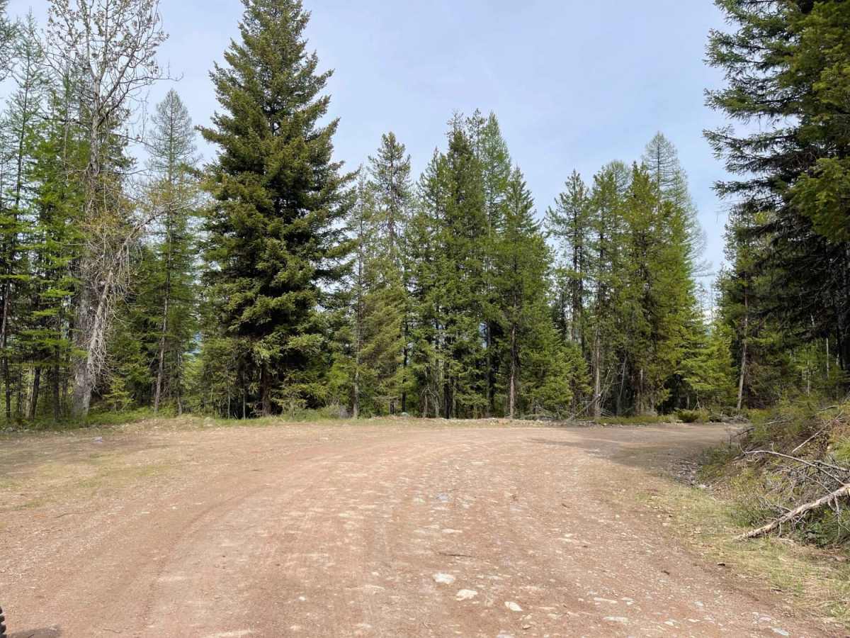 Lindbergh to Meadow and Bunyan Lake photo 6