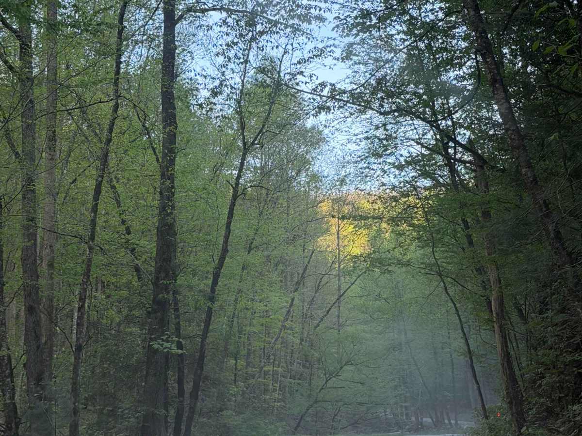 Tremont Road trail photo