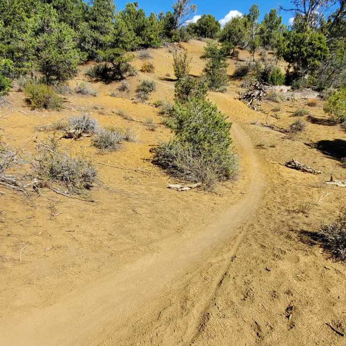Typical trail surface on the upper part of Watertank West trail. Near Grandview Ridge Road