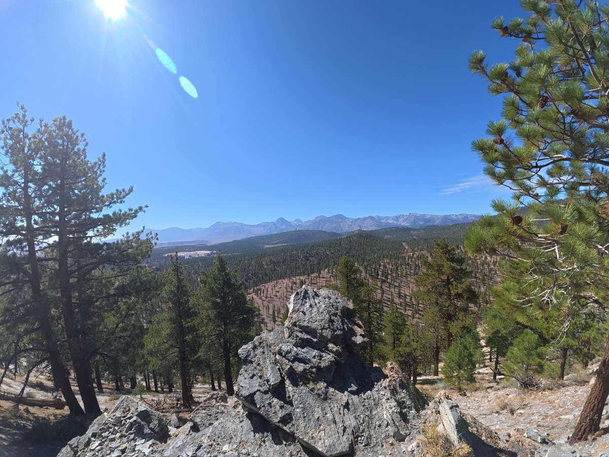 Long Valley Caldera trail photo