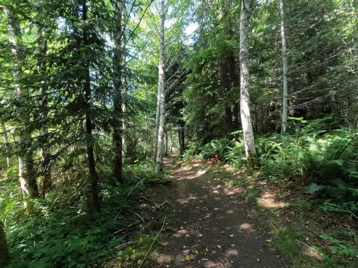 Little Loop trail photo