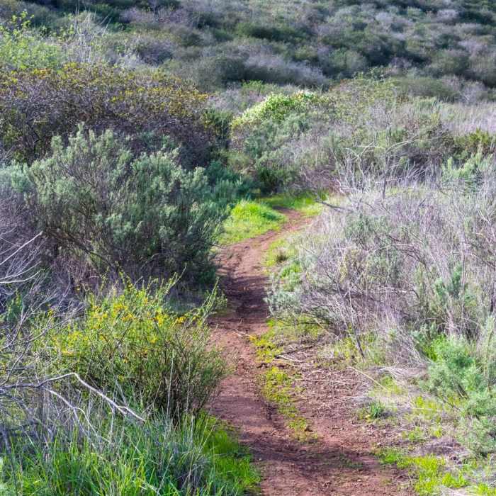 Near Copper Creek Trail via Whiptail Trail