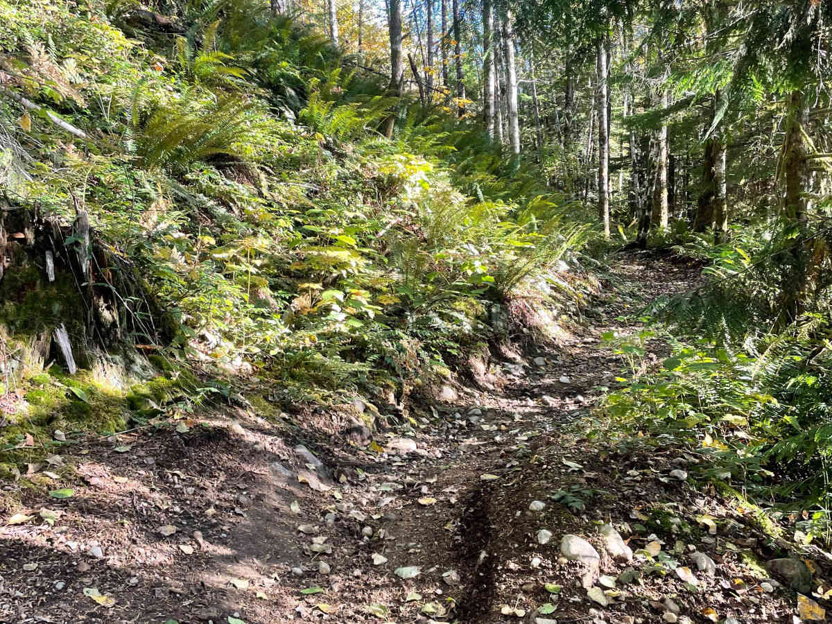 Next Level trail photo