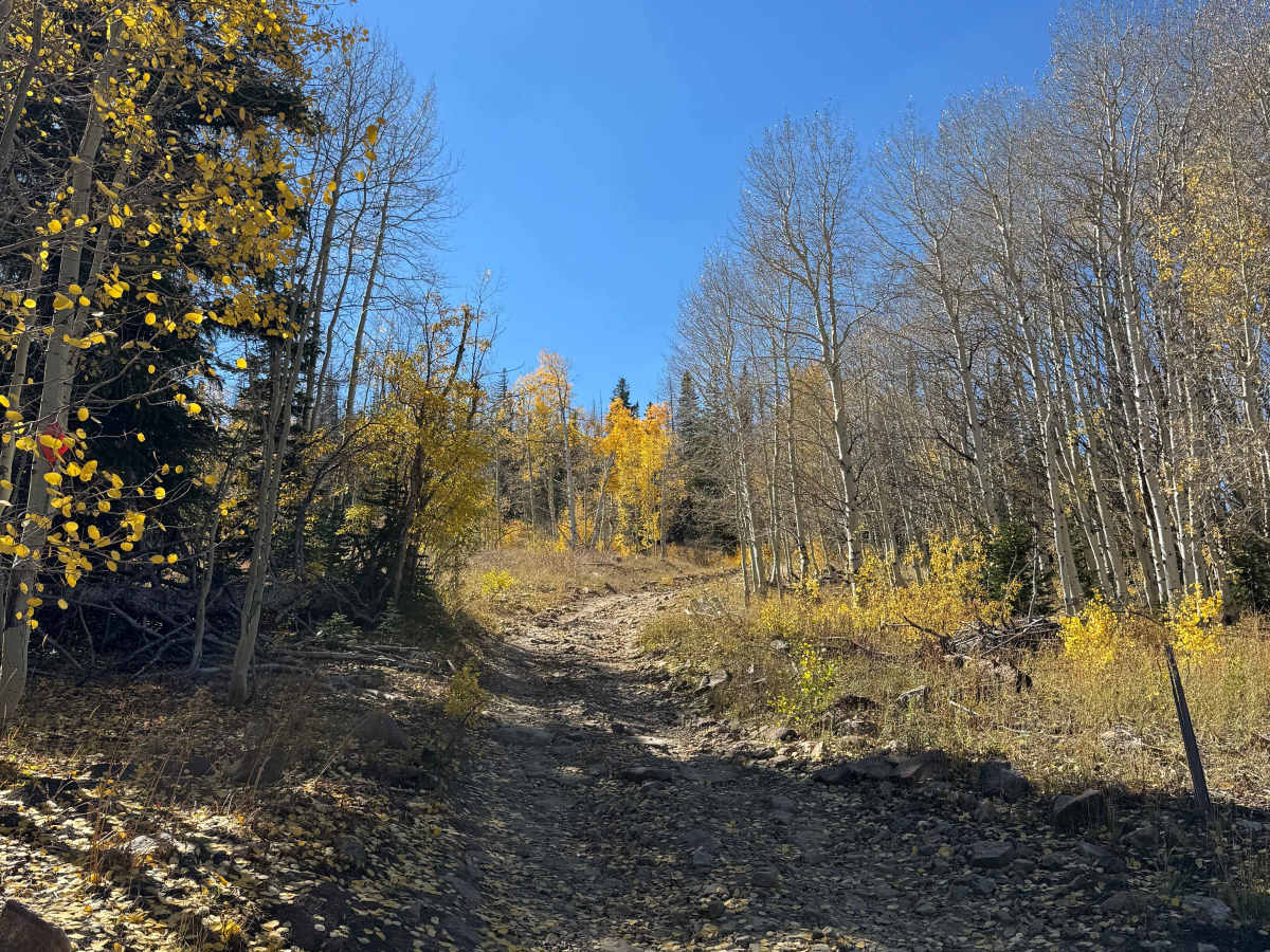 West Hahns Peak Road photo 4