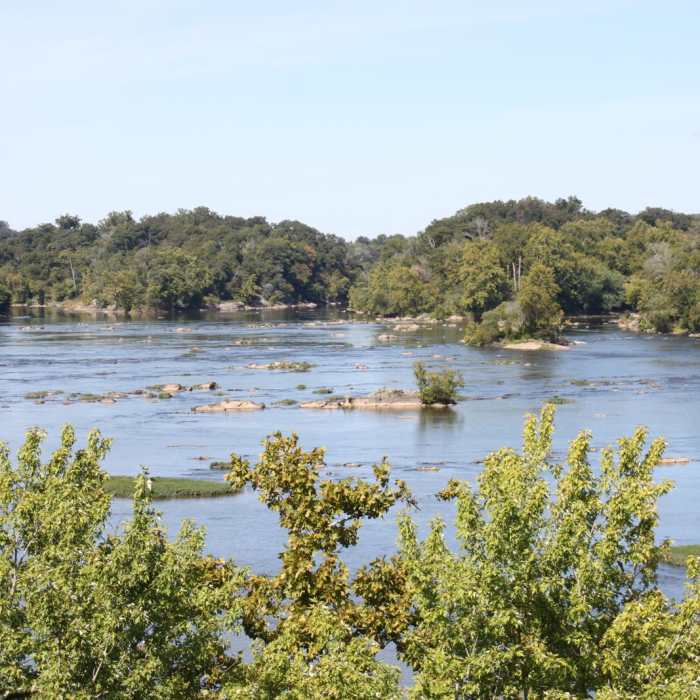 Near Scott's Run Nature Preserve