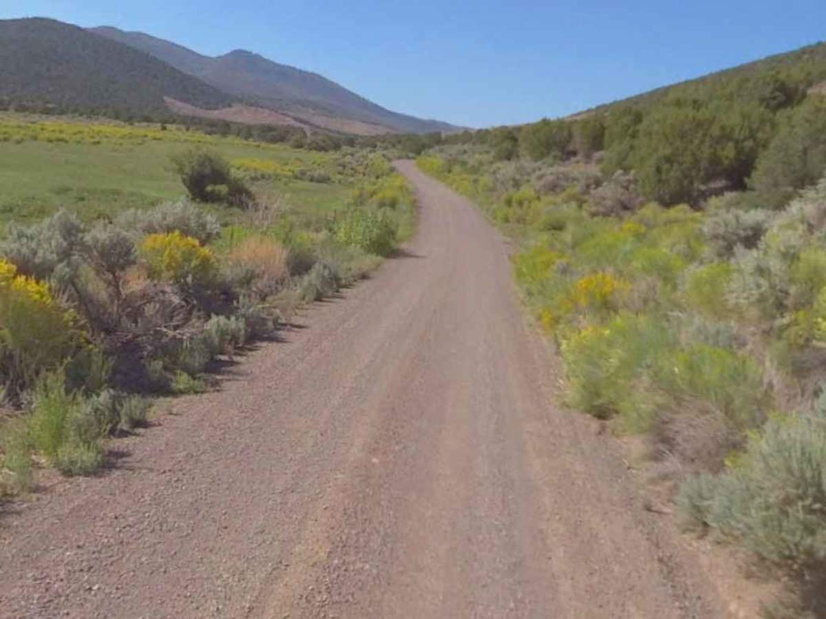 Bear Valley Road - CR 1036d photo 5