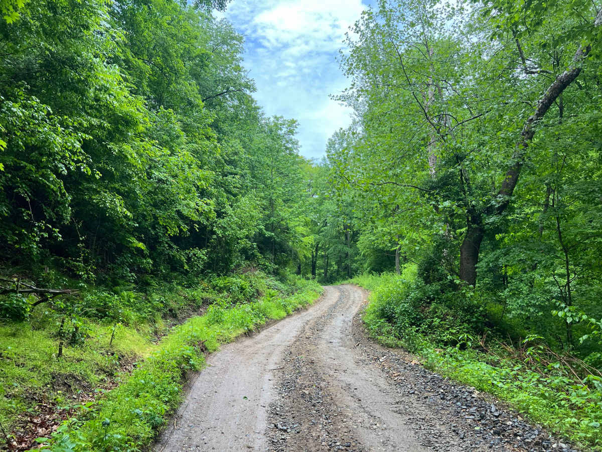 KC4 trail photo