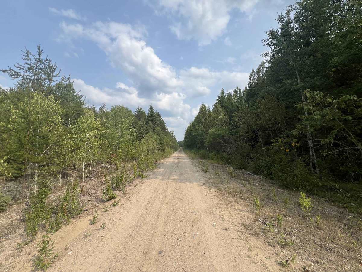 Beaver Creek Road photo 3