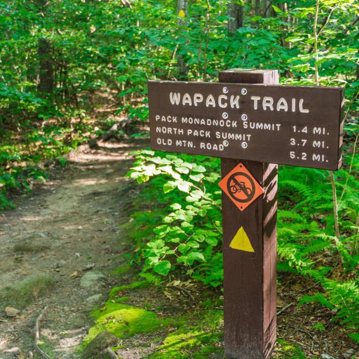 Near Pack Monadnock Loop Near Pack Monadnock Loop